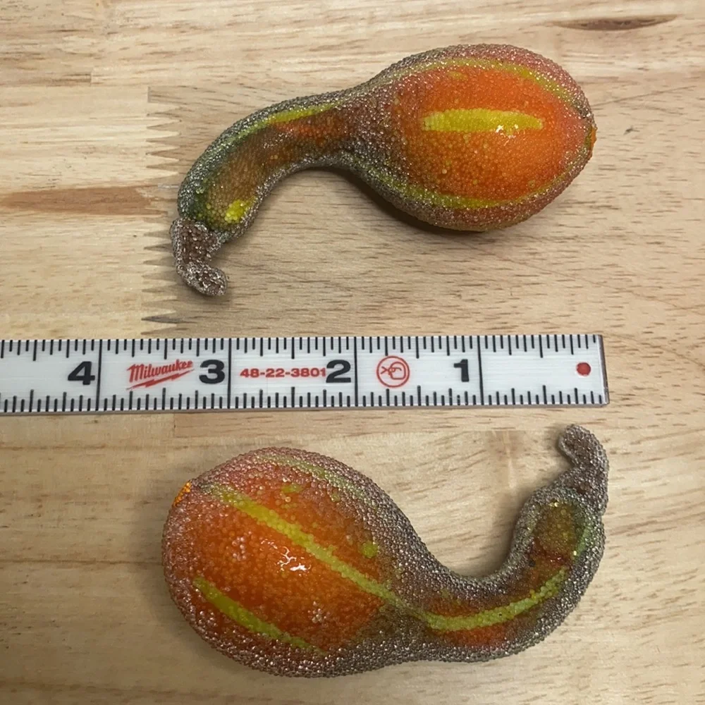 Sonoma mini pumpkins